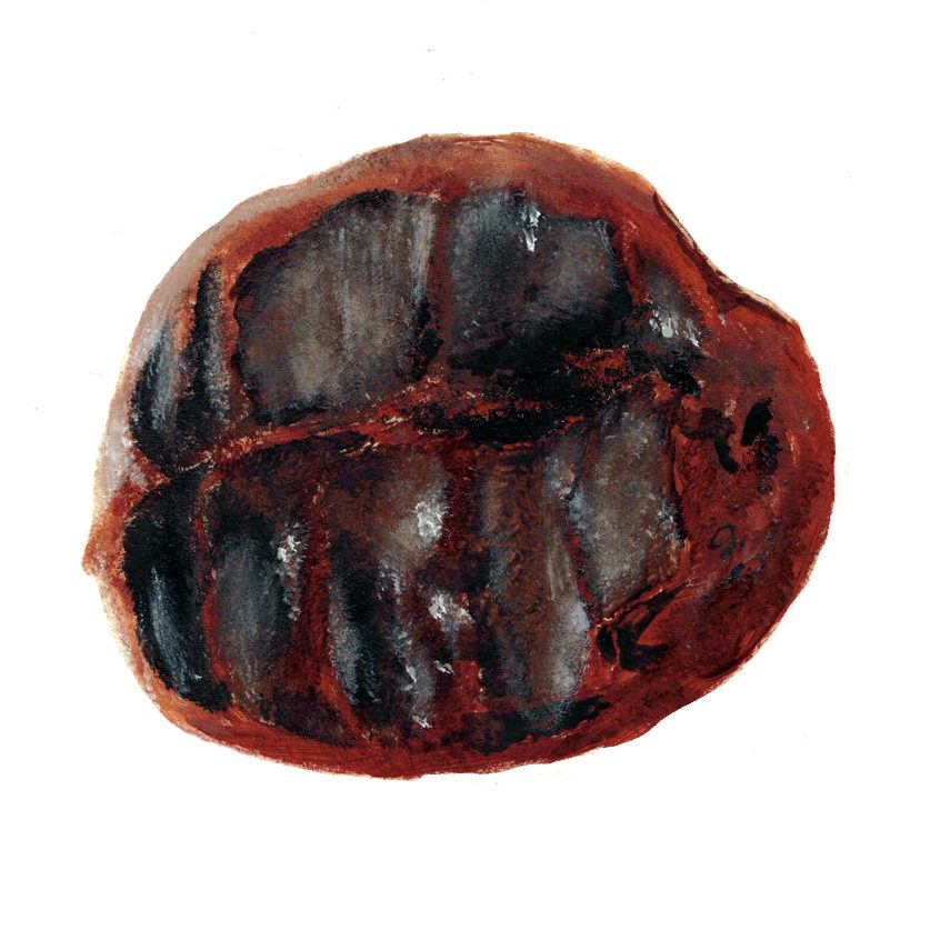 Dark Chocolate Truffle Painting