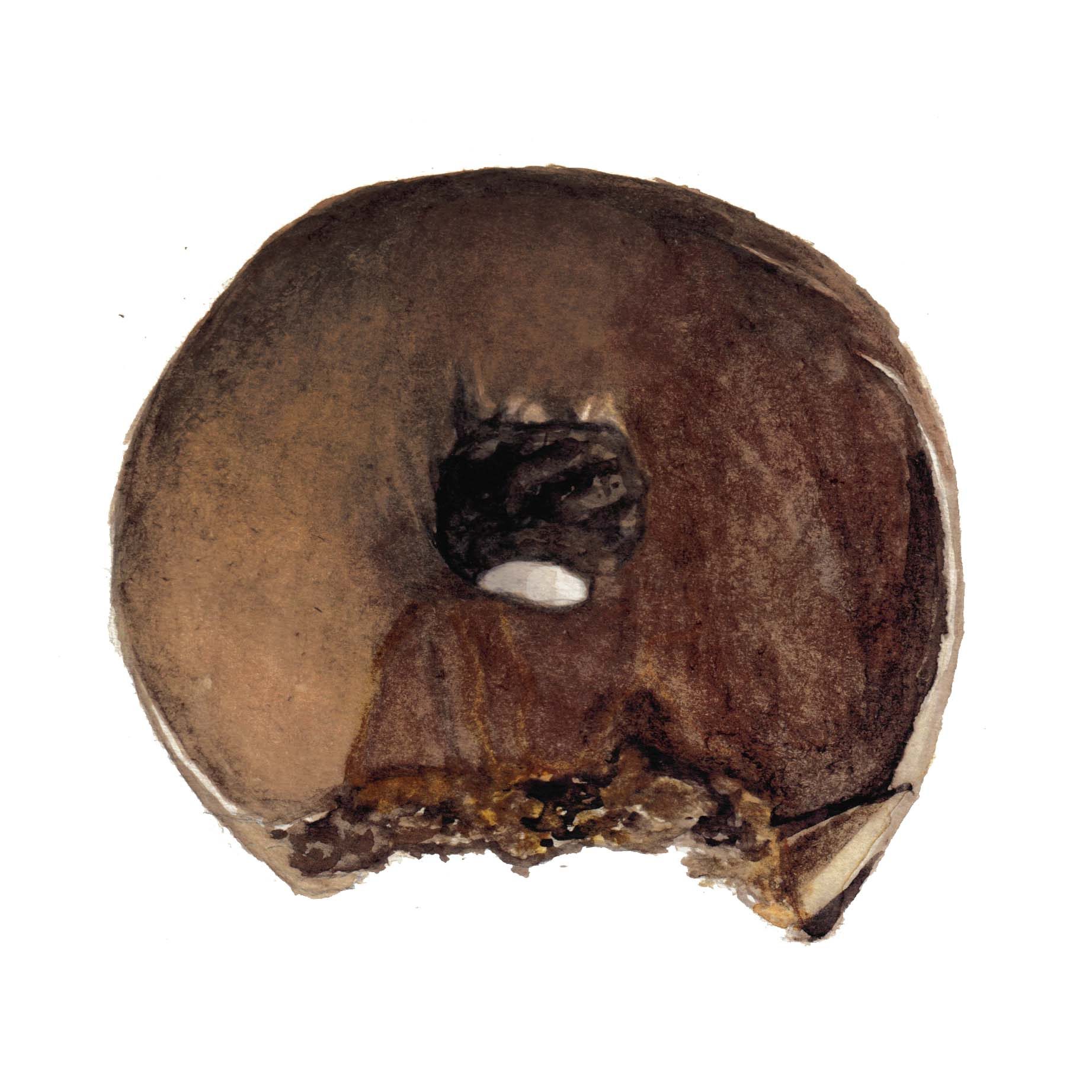 Chocolate Donut Painting