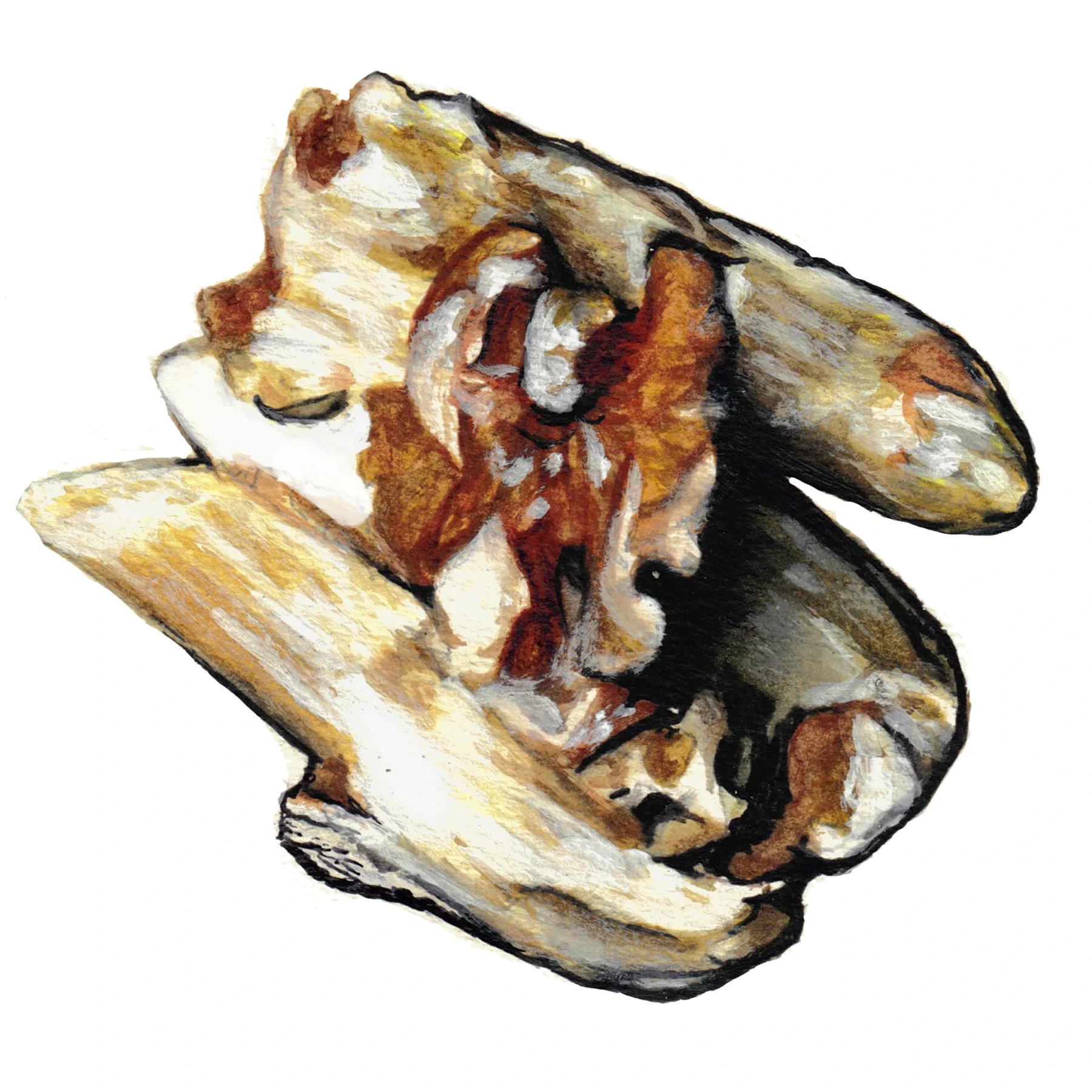 Sour Cream Pasta Painting