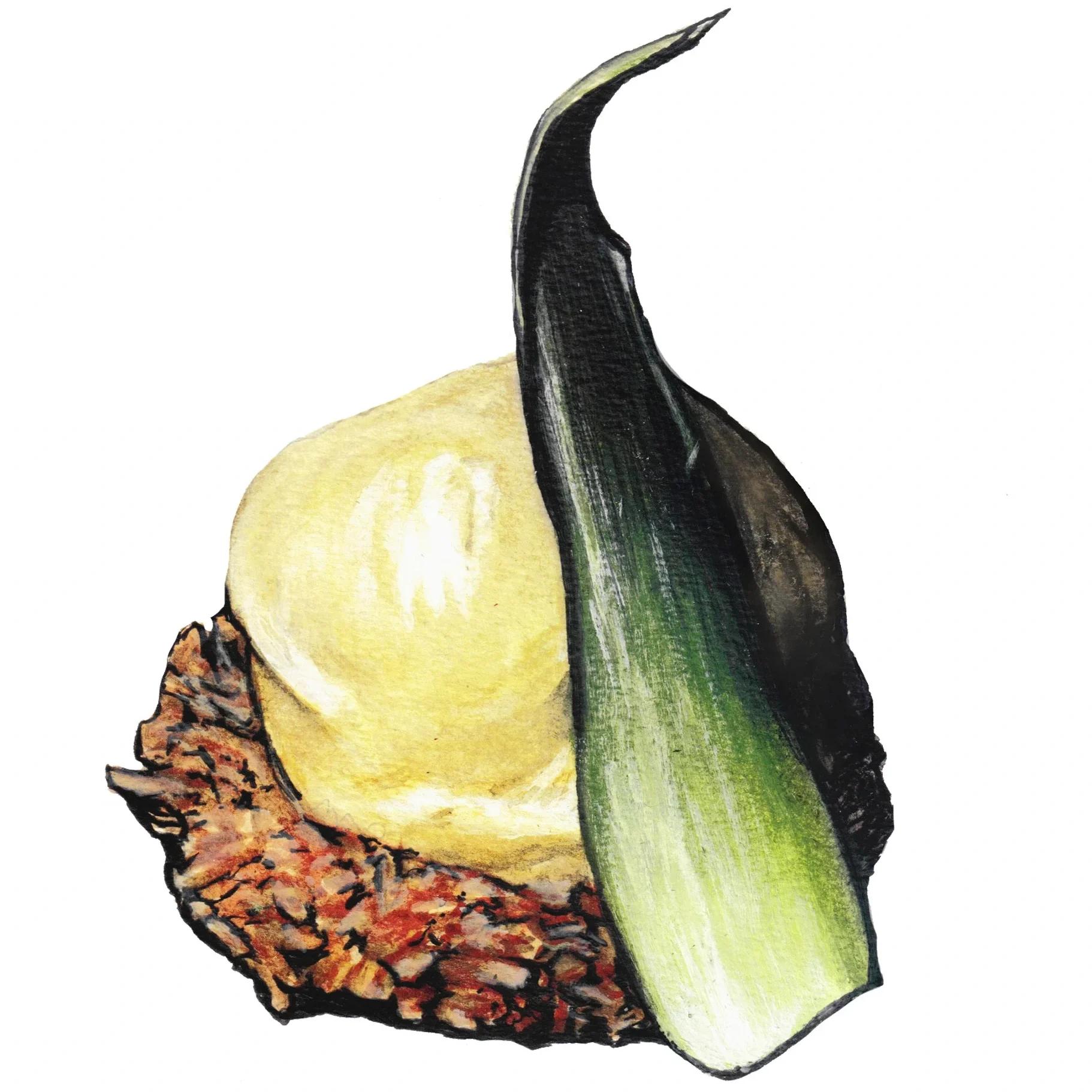Pina Colada Ice Cream Painting