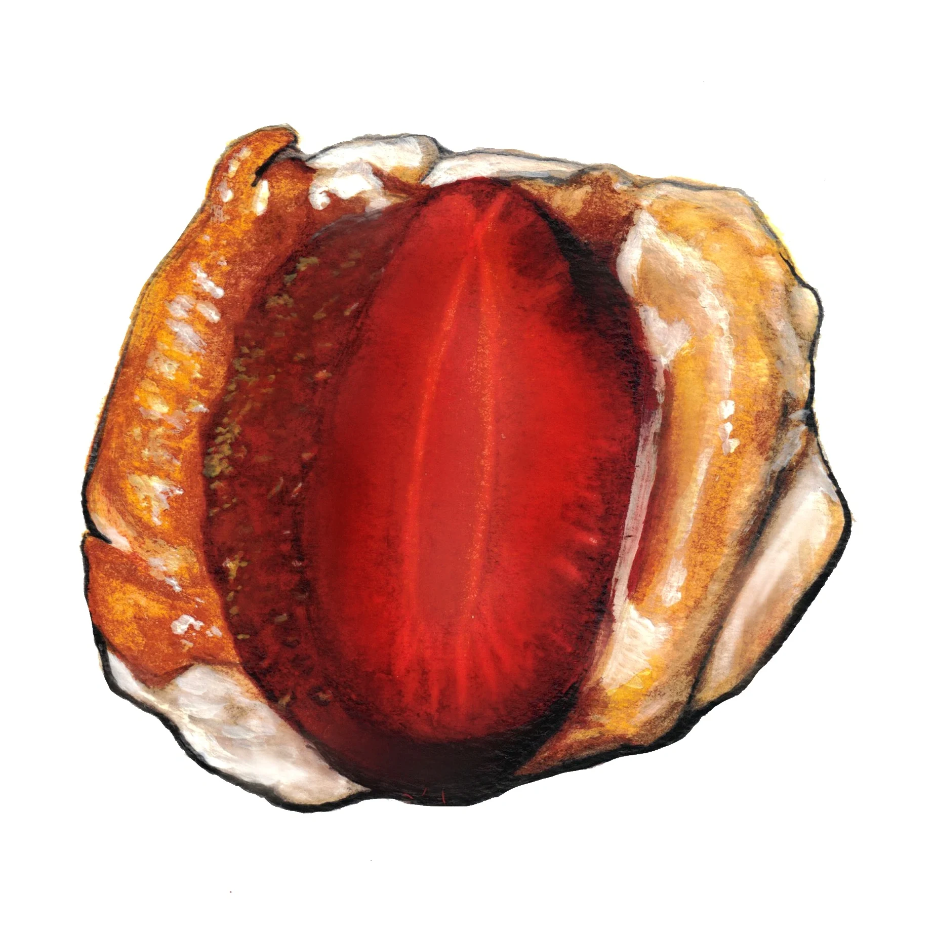 Strawberries and Cream Watercolor Painting