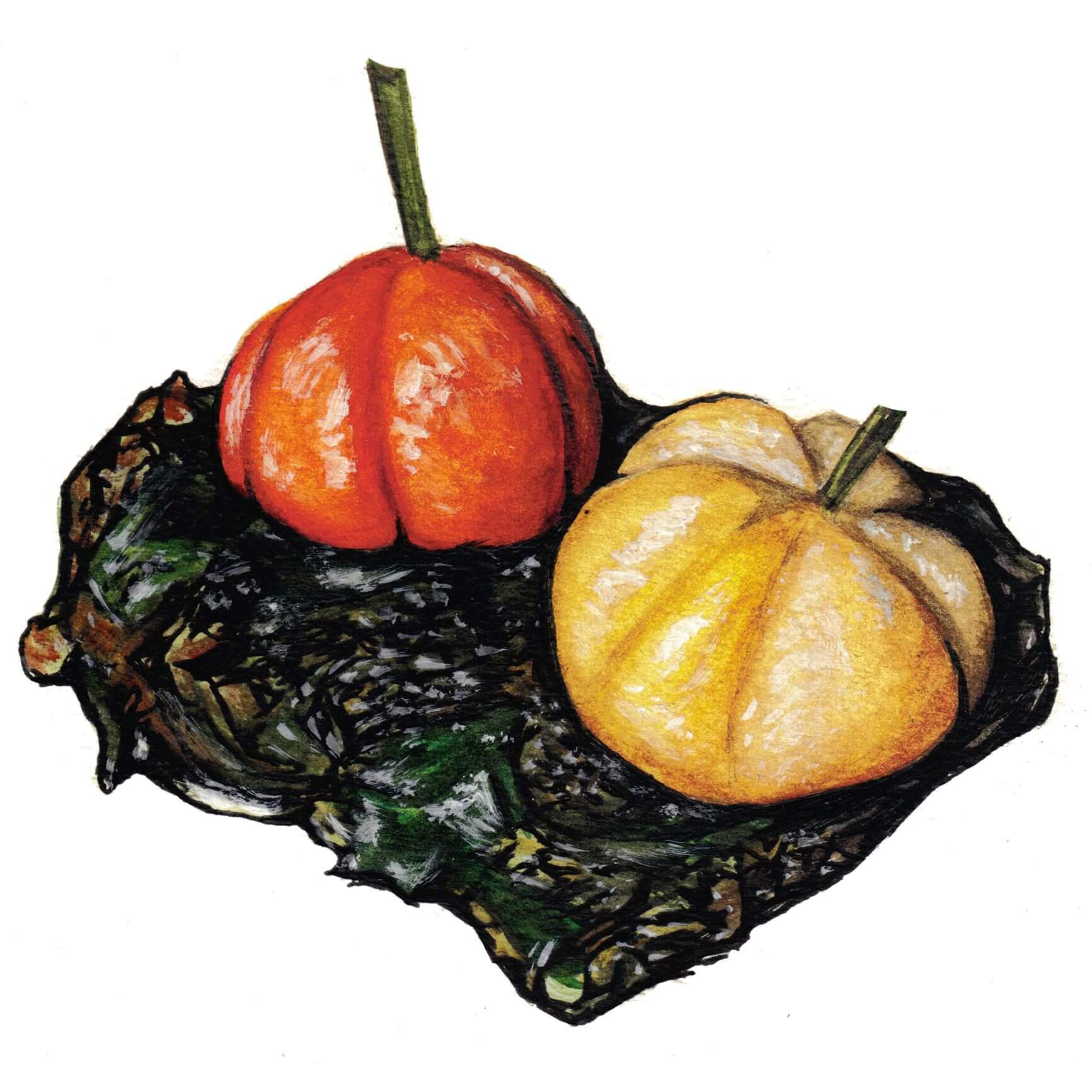 Pumpkin Shaped Gnocchi Painting