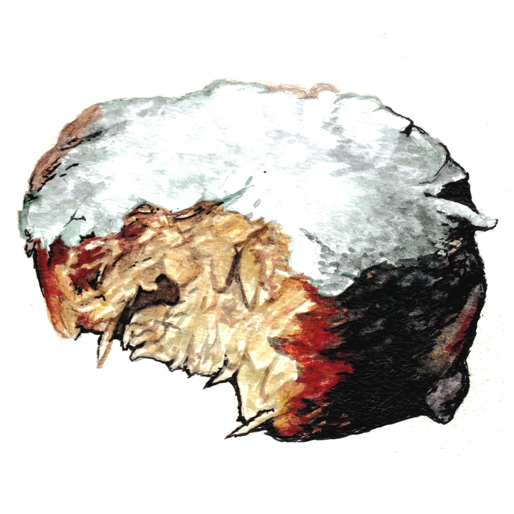 Apple Latkes Painting