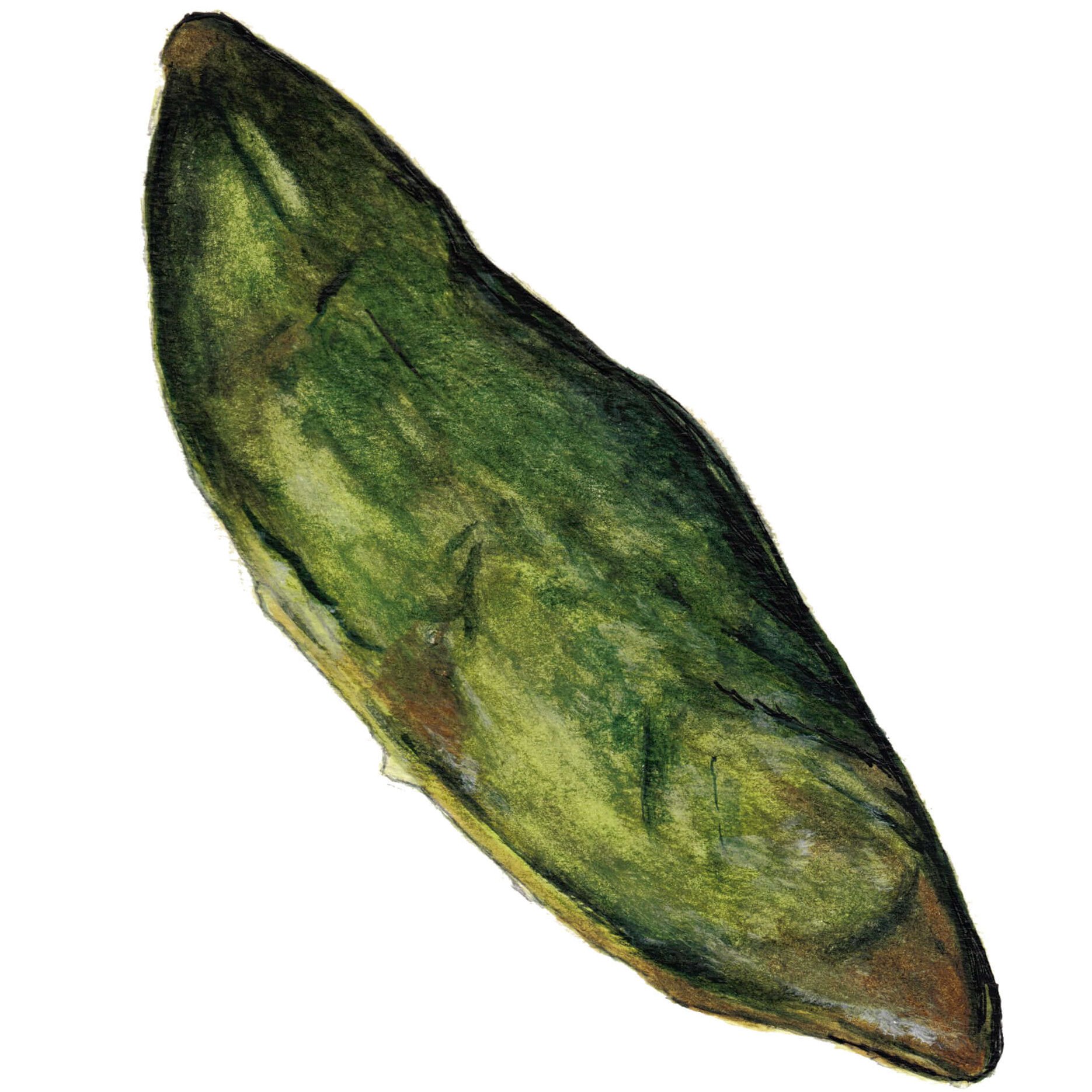 Spinach and Artichoke Pie Painting