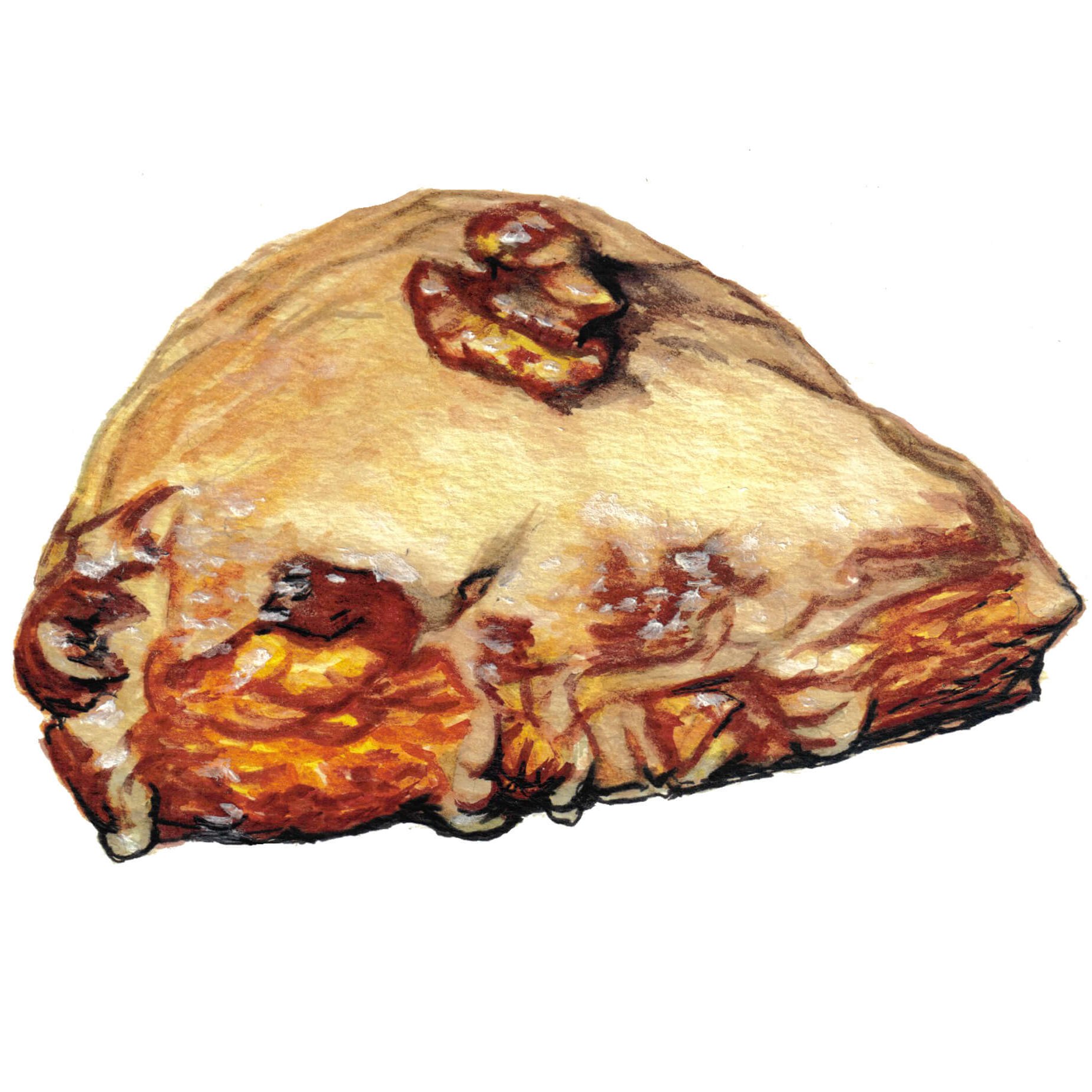 Maple Walnut Scone