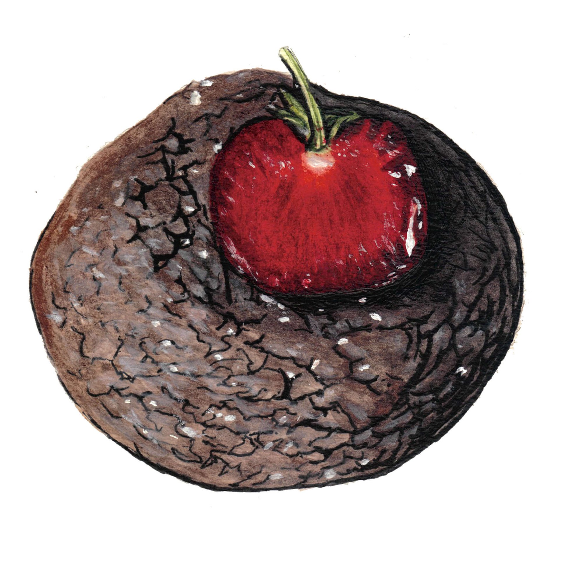 Chocolate Muffin Top Painting