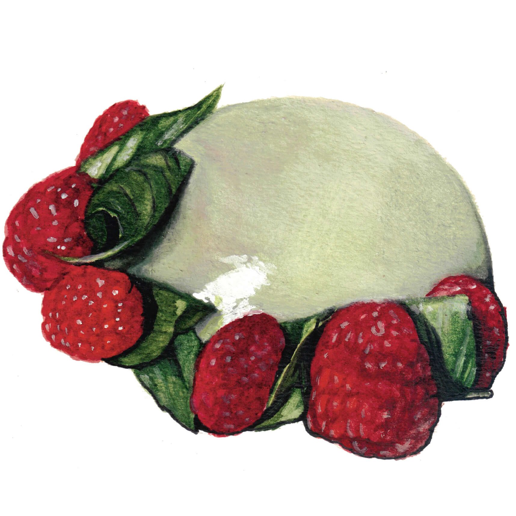 Basil Panna Cotta